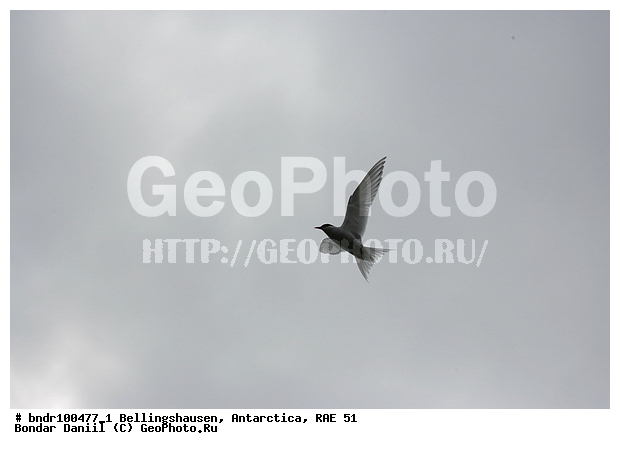 ����������, ����������, �������������, ���, ��� 51, ��� 2005, ���������� �������������� ����������, ����� �����, �����, � ����, � ������, ������, ������, �������, �����, �������, �����, �����, ������, ����, �����, �����, ����������