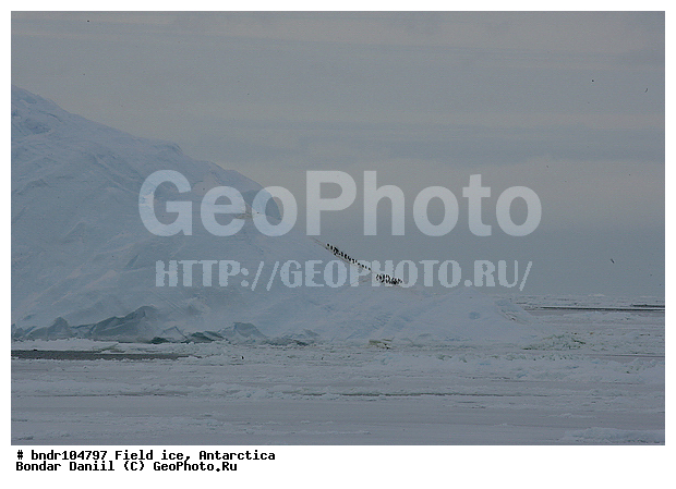 ����������, ����������, ����� �����, �������, ���, �����, ���, ������, ������, ��������, �������, �����, ������, �������, �����, ����, �����