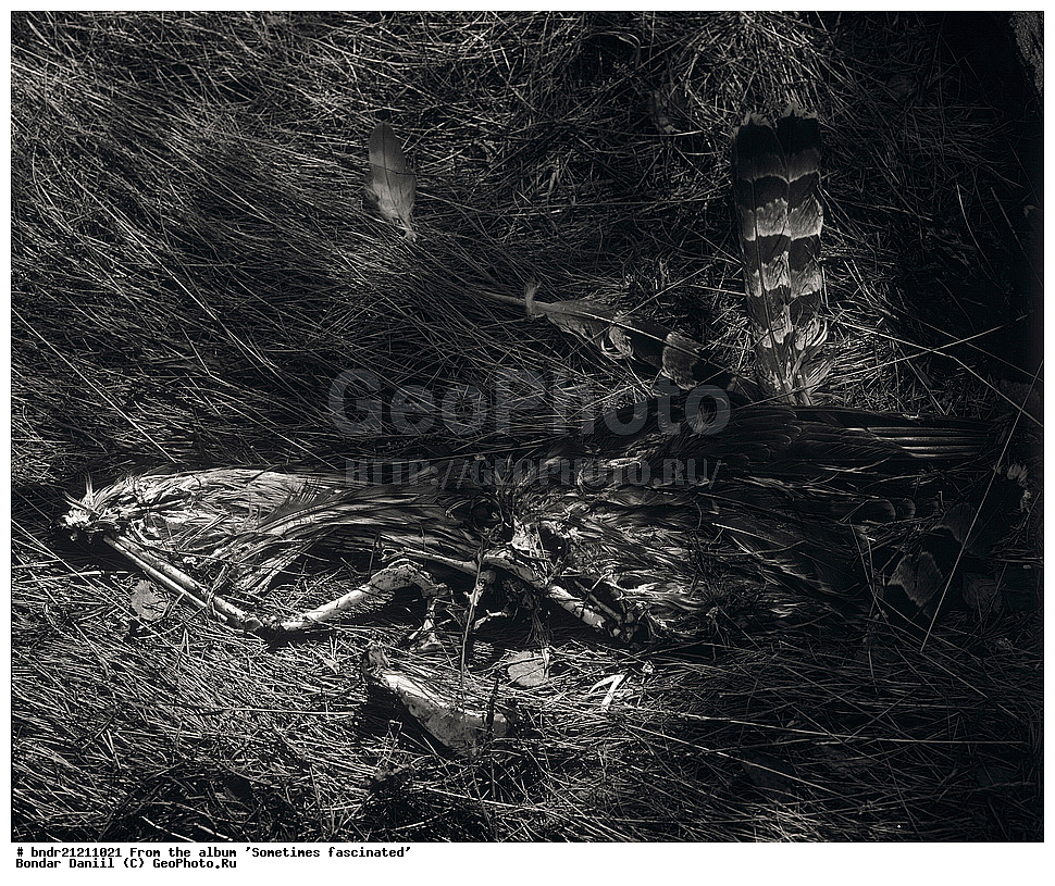  ����������, ����� ��������, ������