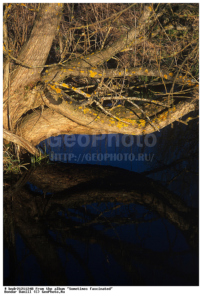  ����������, ����� ��������, ������