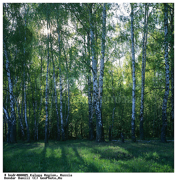 ���������, ������, ������, ������, �����, �������, ��������, �������, ������, ���, �������, ����������� ������, ������, �������, �����������, ������, ����, ����, �����