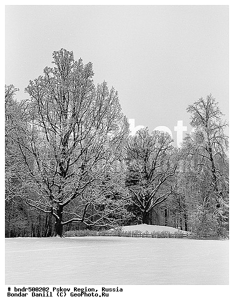 ������������, ���������, ���������� ����, ������, ������, �����, �����, � �����, �������, ����, �������, ����������� �������������, ������, ������, �������, ����, ����, �������