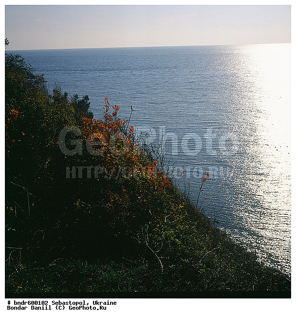 �����������, �������, ������ ����, �����, ���, ����, ��������, ����, �������, �� ����, ������, �������, ��������������, ����, ����, ������, �����, ����, �����