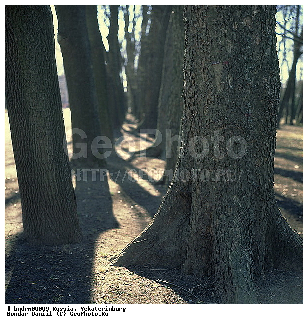 �������, �����, � ���, ������, �������, �����, �������, ������������, �����, ������, ����, ����