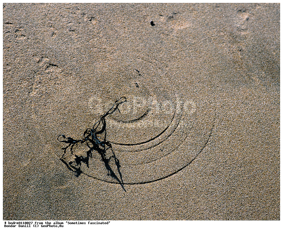  ����������, ����� ��������, ������