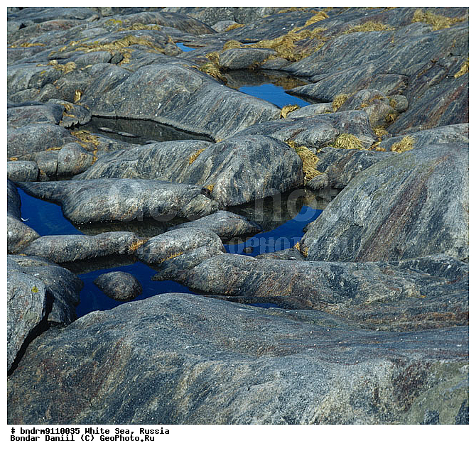 ����� ����, ��������� �����, �����