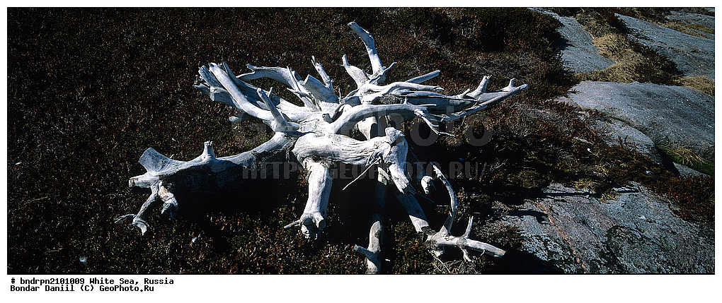 ����� ����, ������, ��������, ��������, �������, ���