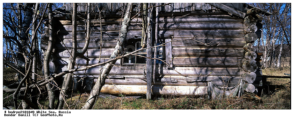 ����� ����, ������, ��������, ��������, �������, ���