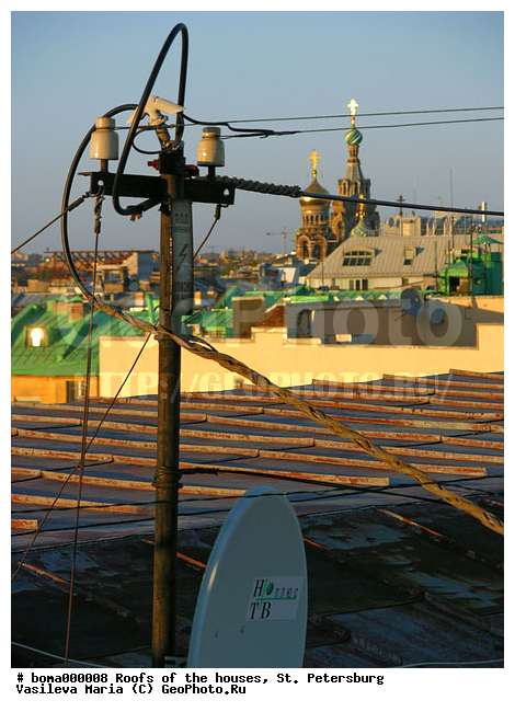 ���������, �����, �����-���������, ��� ������, �����, ���, ������, �����, �����