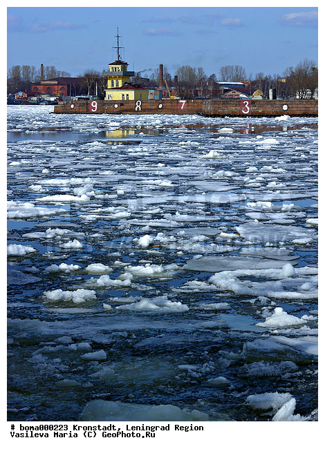 ���������, ������������� �������, ����, ���, ����