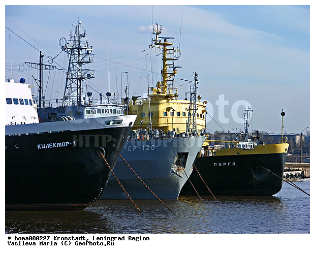 �������, �������, ������������� �������, �����������, ���������� ��������, ����������, ����, �������, ���, �����������, ����, ����, �����