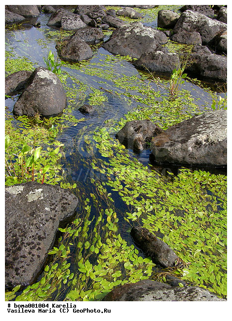 �������, ����, ���� ������, �����, �����