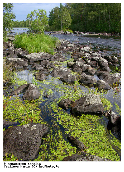 �������, ����, ���� ������, �����, �����