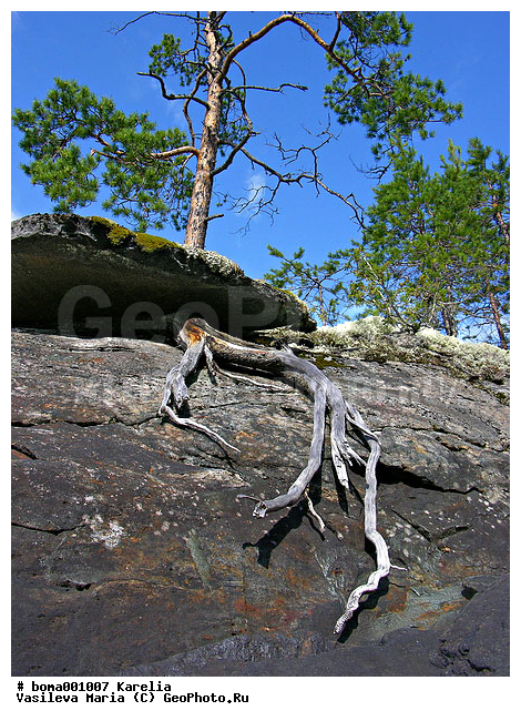 �������, �����, �����, �����