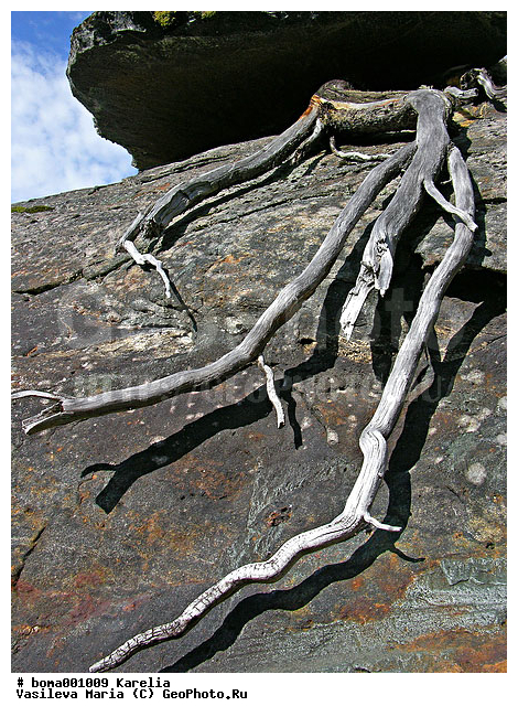 �������, �����, �����