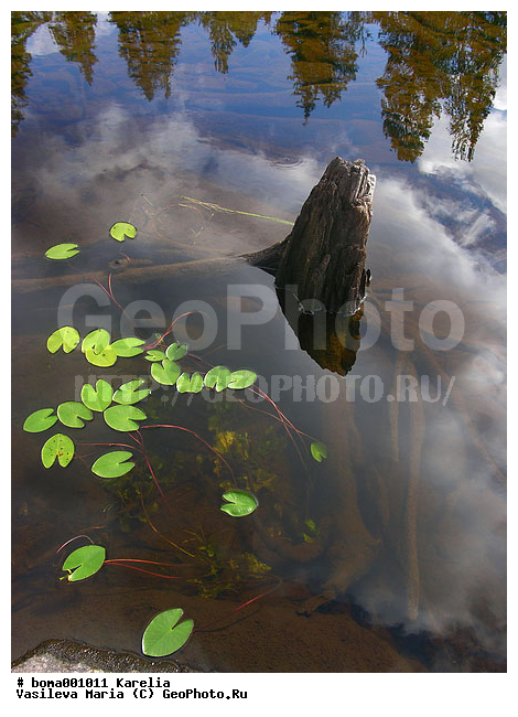 �������, ����, �����, ������ ��������, ����