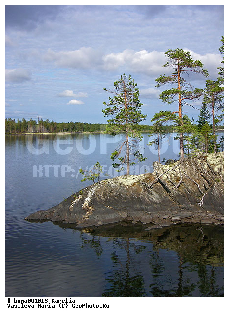 �������, ����, �����, �����, �����