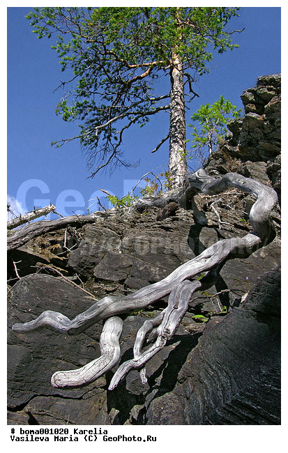 �������, �����, �����, �����