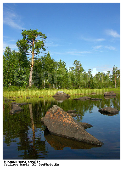 �������, ����, �����, ���������, �����