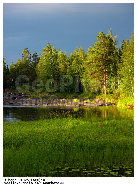 �������, ����, �����, ���� ����, �����