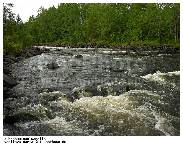 �������, ����, �����, ���� ��������, �����