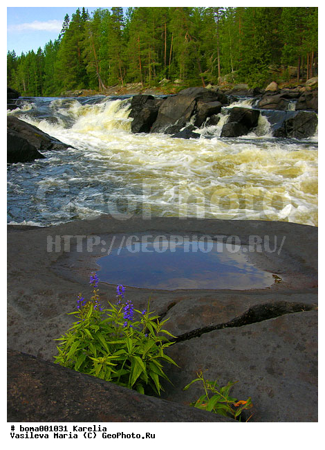 �������, ����, �����, ����� ���������, ���� ����