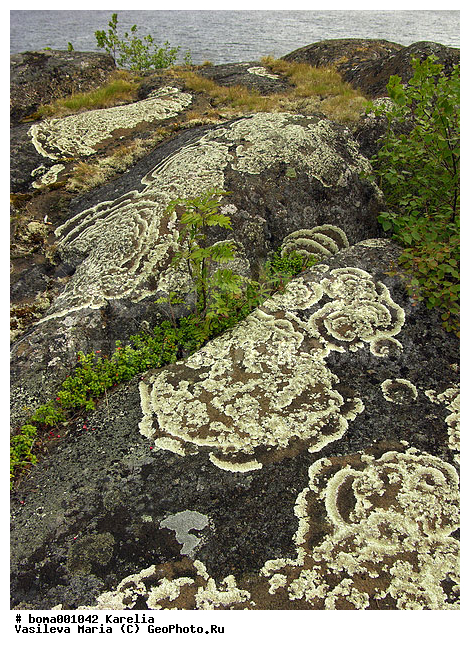 �������, �����, ��������