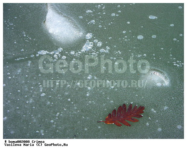 ����, ����, ���, ����