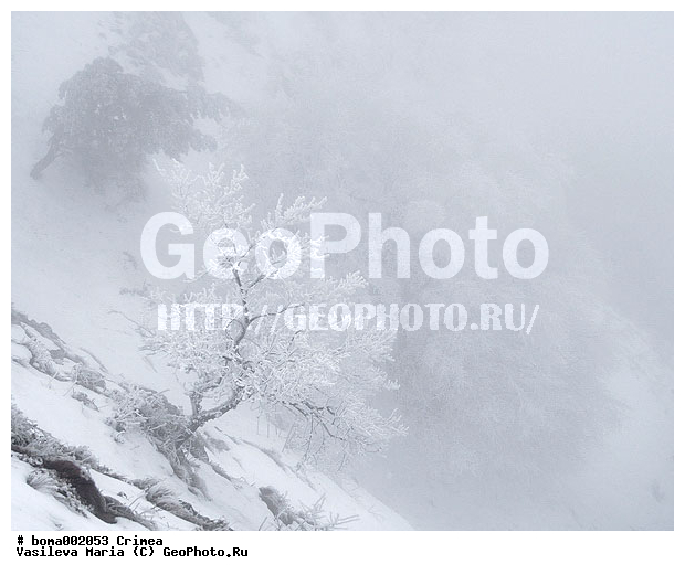 ��������, ����, ������ ������, ����, ������� � �����, ����, ����, ����, �����, ������