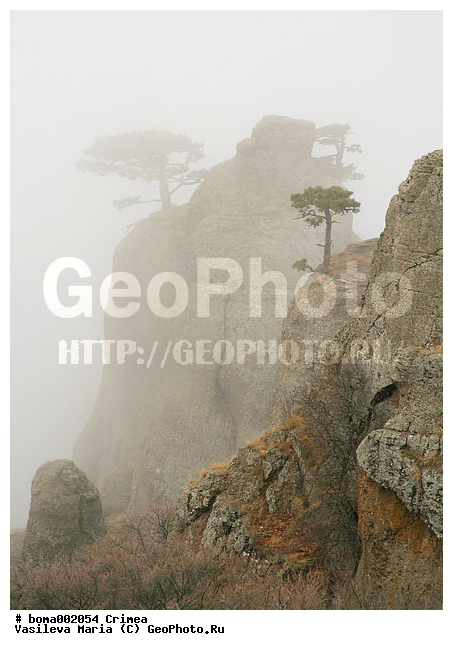 ��������, ����, ������ ������, ����, ����, �����, �����, �����, ������