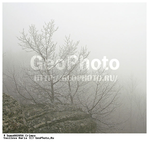 ����, �����, ������ ������, ����, ������, ����, ����, ������