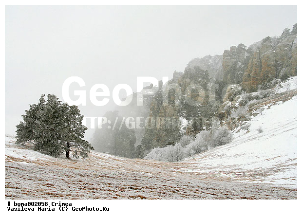 ��������, ����, ������ ������, ����, ����, ��������, ������