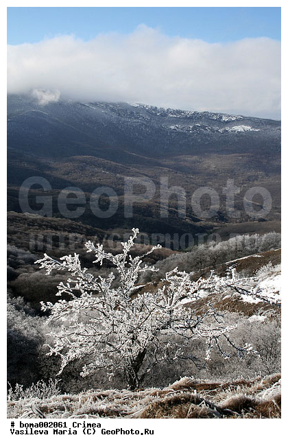 ��������, ����, ������ ������, ����, ������� � ����, ����, ����, ������