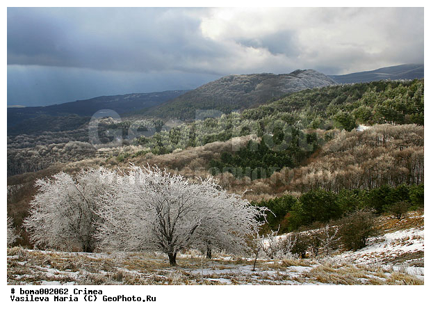 ��������, ����, ������ ������, ����, ������ � �����, ����, ����, ����, ������