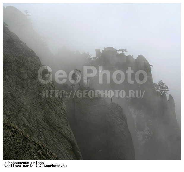 ��������, ������ ����������, ����, ������ ������, ����, ����, �����, �����, �����, �����, ������