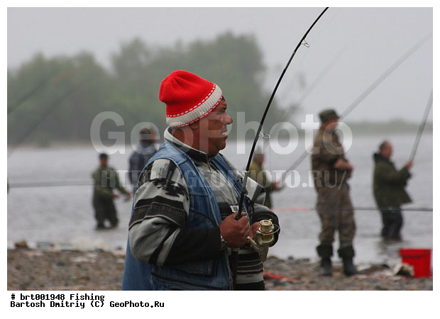 ���, ������, ����, ���� ���, ����, ������, �������, ������ �����, �������, ����������� �������