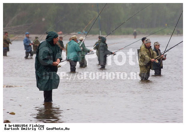 ���, ������, ����, ���� ���, ����, ������, �������, ������ �����, �������, ����������� �������