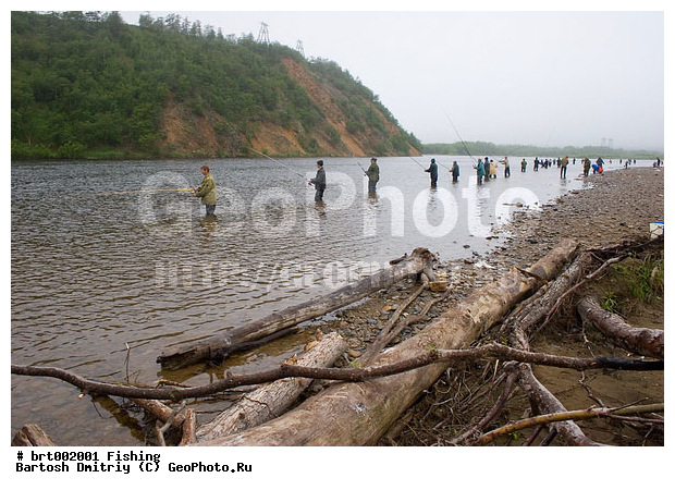 ���, ������, ����, ���� ���, ����, ������, �������, ������ �����, �������, ����������� �������