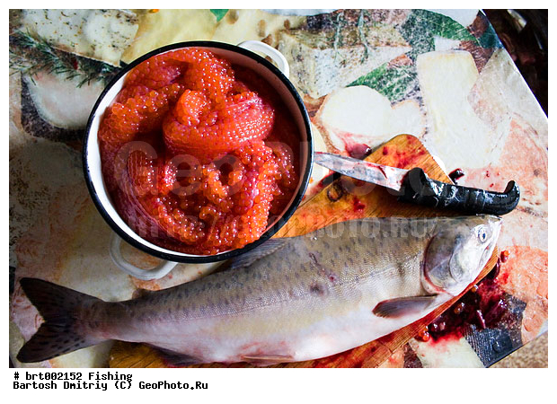 �������, �������, ����, ���� ������, ���� �����������, ������� ����, ���������, ���, �������