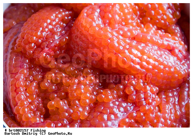 �������, ���������, ����, ���� ������, ���� �����������, ������� ����, �����, �������, ����