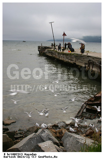 �������, ����, �������� ����, ����, �����, ������, ������ �����, �����