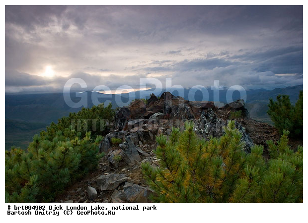 ����� ����� �������, ��������� ����