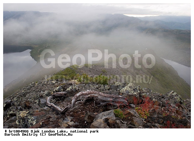 ����� ����� �������, �����, �����, ������, ��������� ����, ����� ������, �����, �����, ����