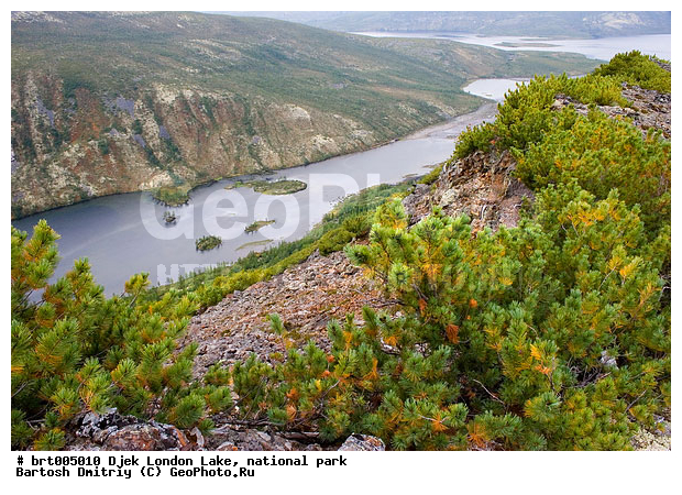 ������, ����� ����� �������, ����, ���������� ��������, �����, �������, ����, ��������� ����, �����, ��������