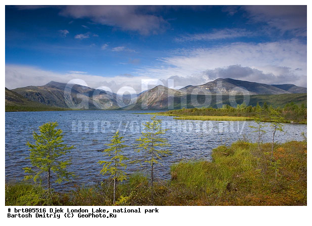 ������, ����� ����� �������, �����, ��������� ����, �����