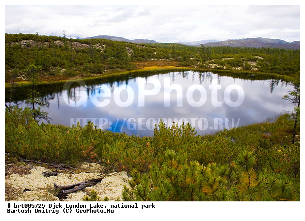 �����, ������, ��������� ����, ���������, �����