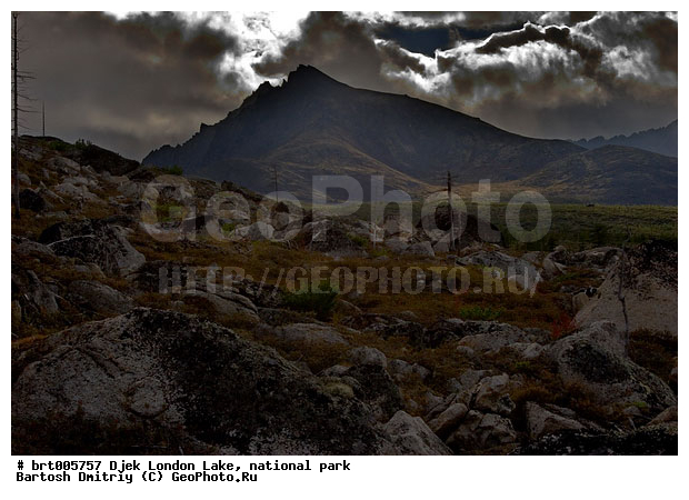 ����� ����� �������, ��������� ����