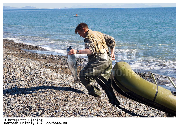 ������, �������, �������� ����, �����, �����, ������, ����, ���������, ��������� �����, ����, �����, �������