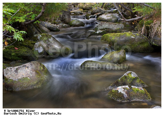 ����, ����, ������� ����, ����