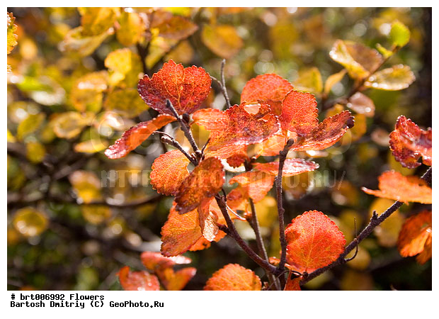 ������, �������, ������, ������ �����, ������, �����